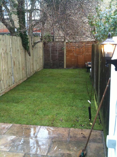 garden